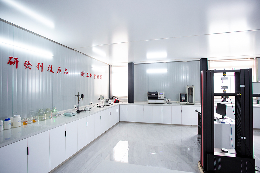 Anhui Longsheng New Material Technology Co., Ltd.